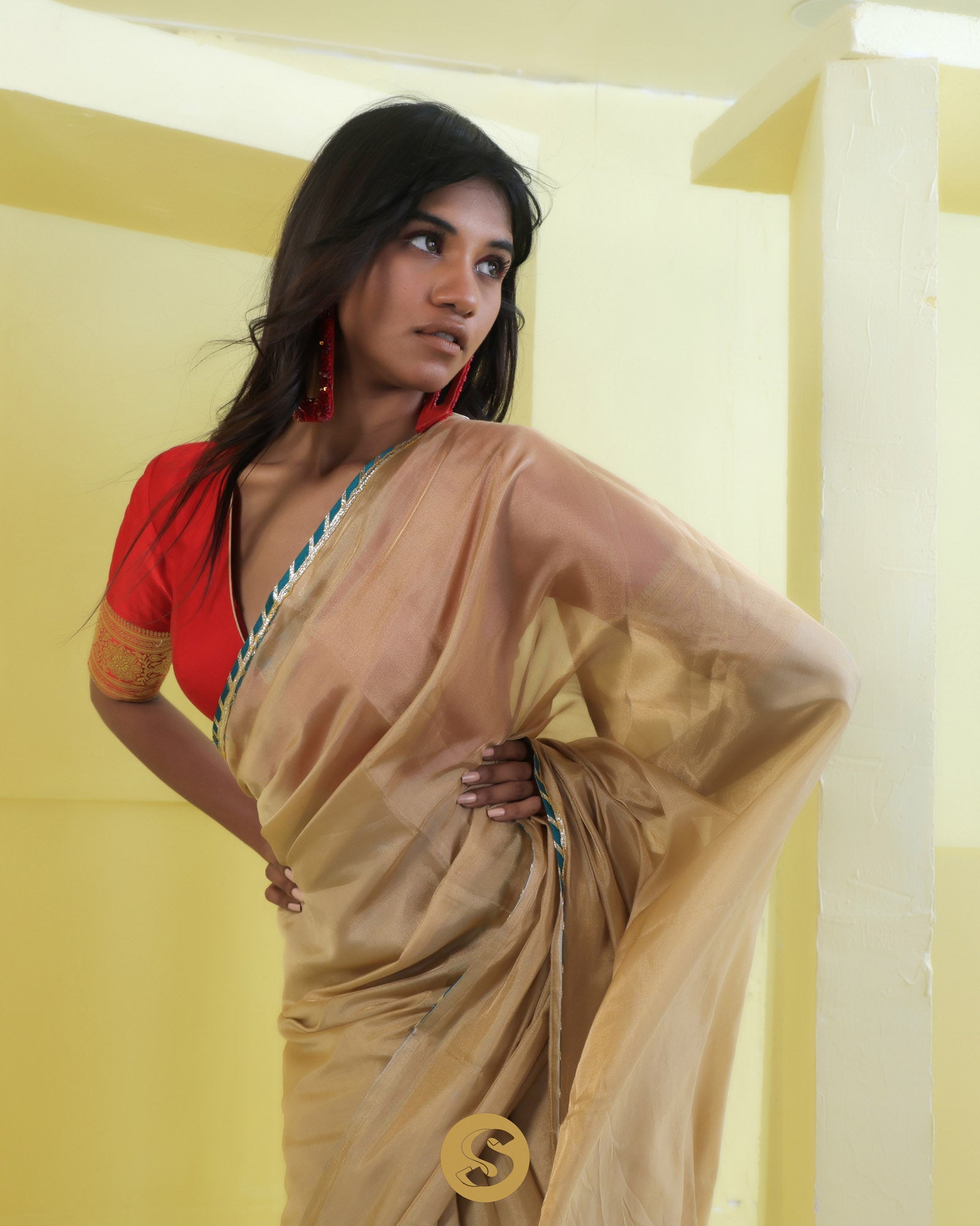 Dark Beige Tissue Designer Saree With Embroidery Border