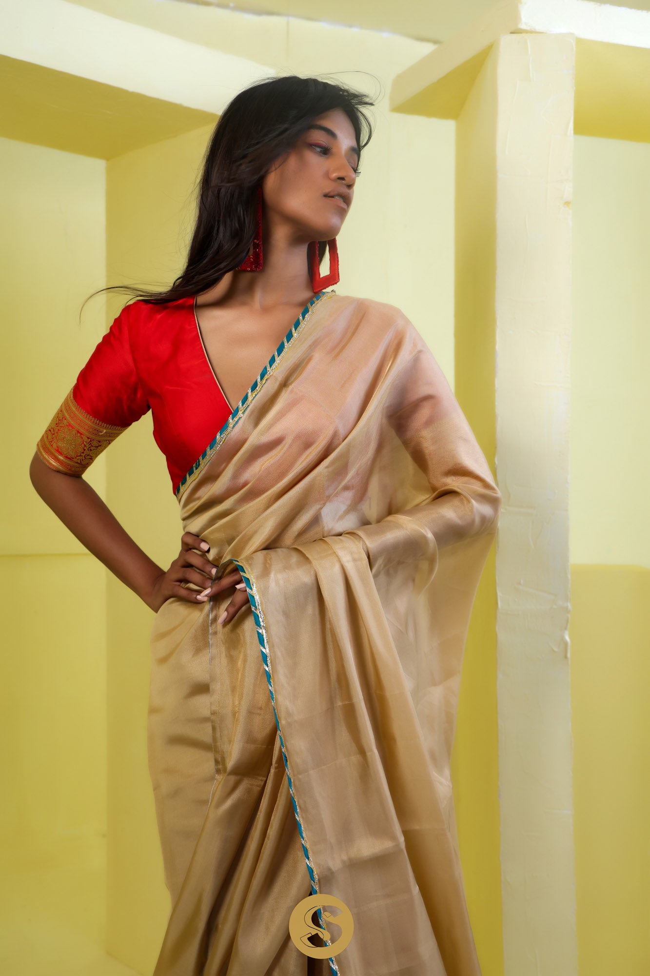 Dark Beige Tissue Designer Saree With Embroidery Border