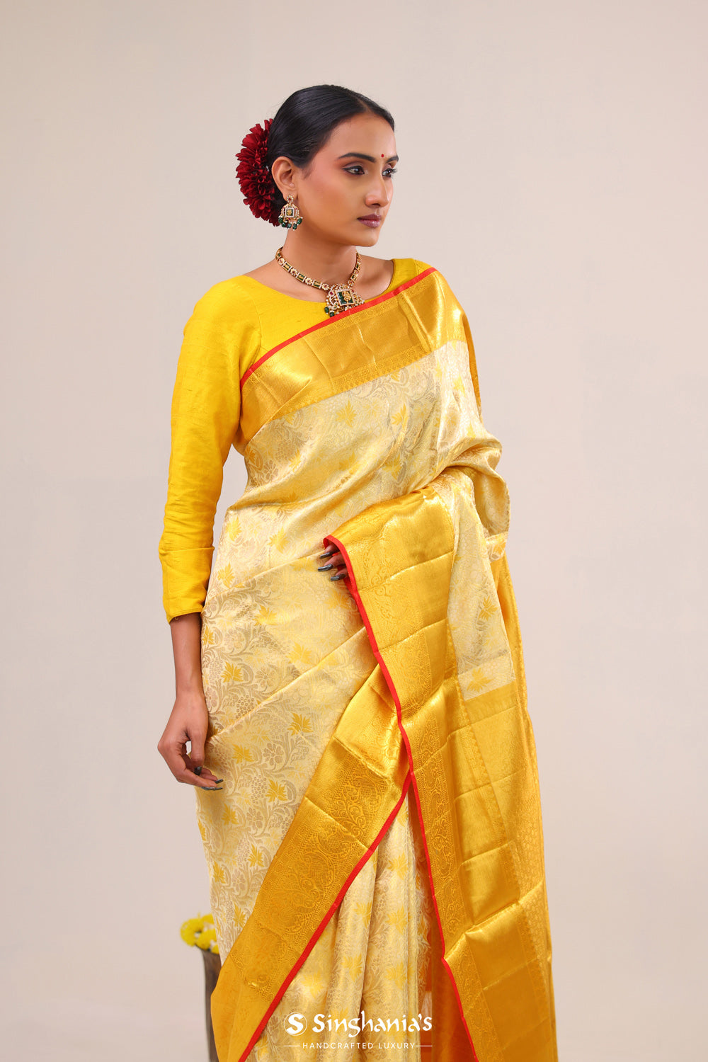 Pastel Gold Jaal Kanjivaram Silk Saree