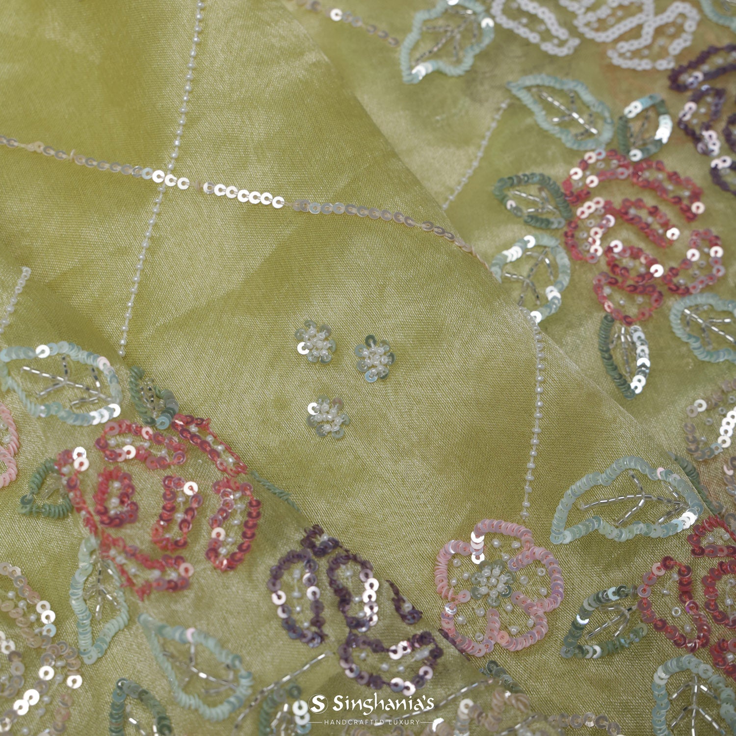 Pale Green Tissue Organza Saree With Hand Embroidery