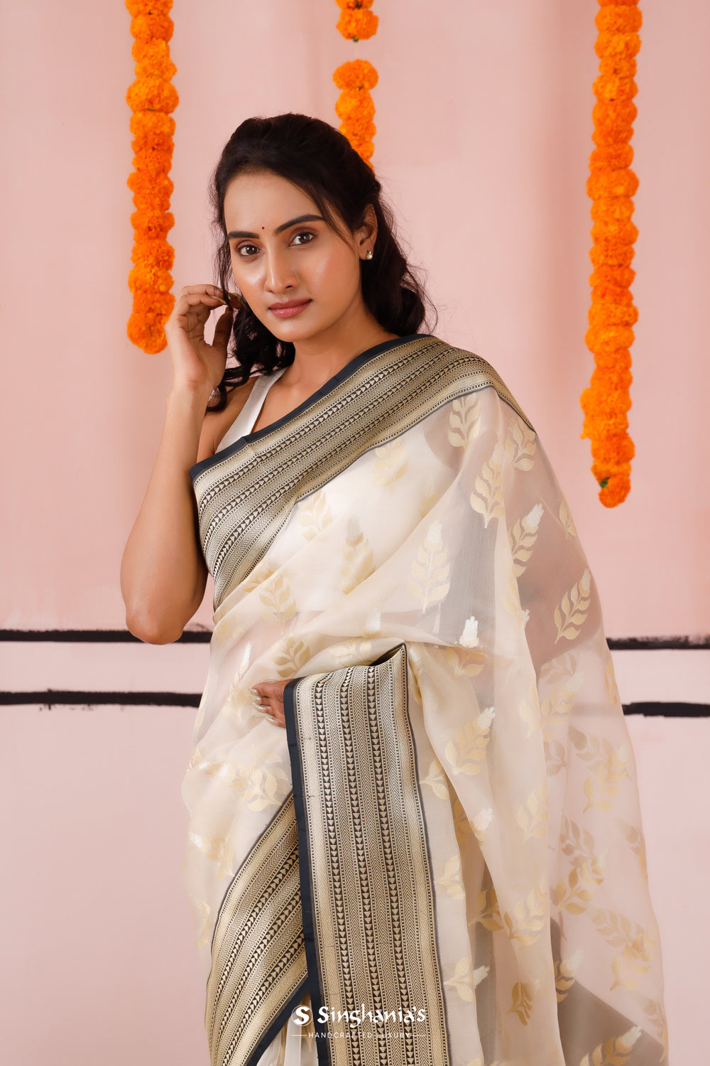 Beige Organza Banarasi Saree With Contrast Border