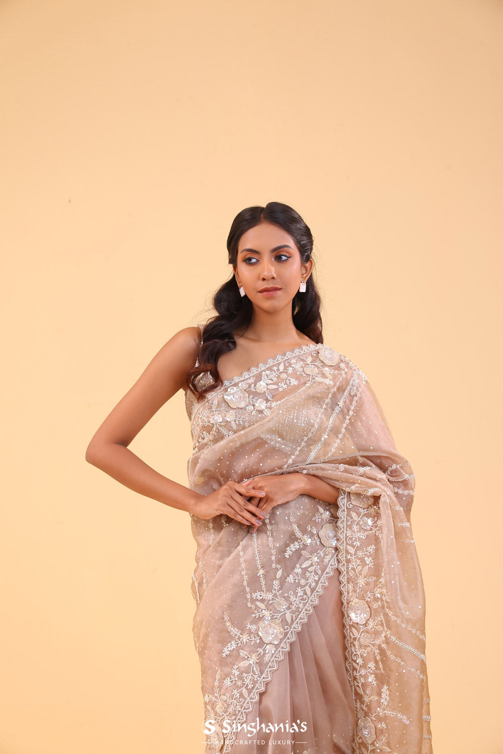 Beige Brown Tissue Handcrafted Saree