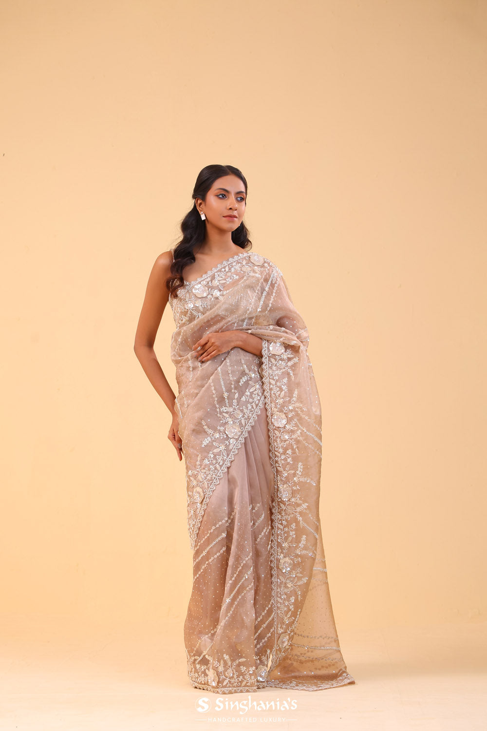 Beige Brown Tissue Handcrafted Saree