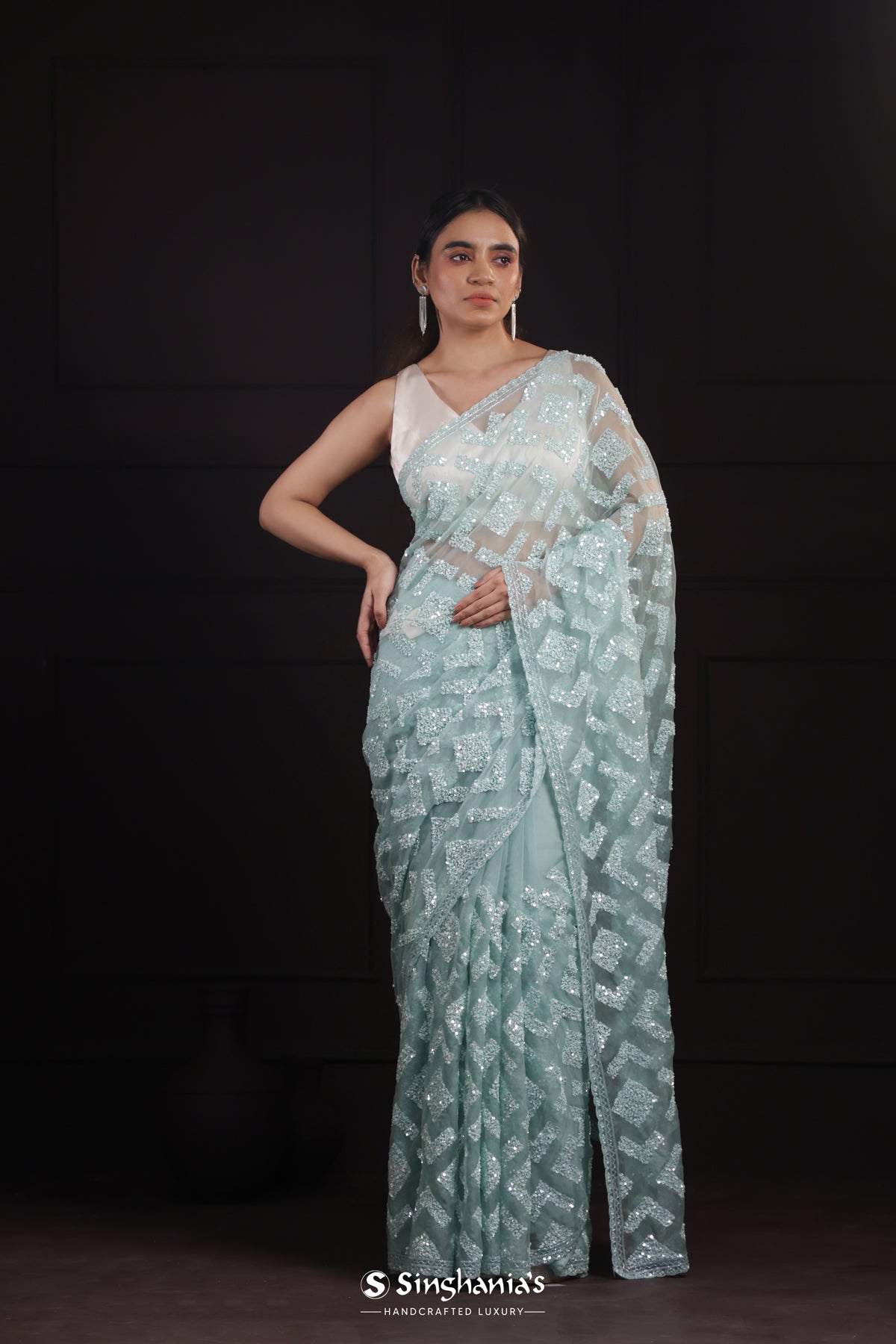 Pastel Sky Blue Organza Designer Saree With Embroidery Border