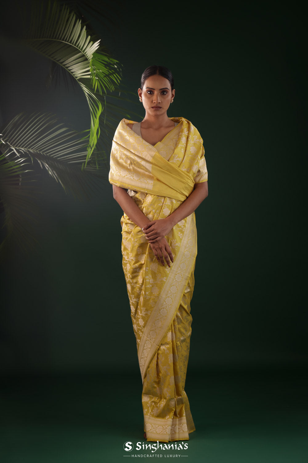 Greenish Yellow Saree With Gold Zari Floral Jaal