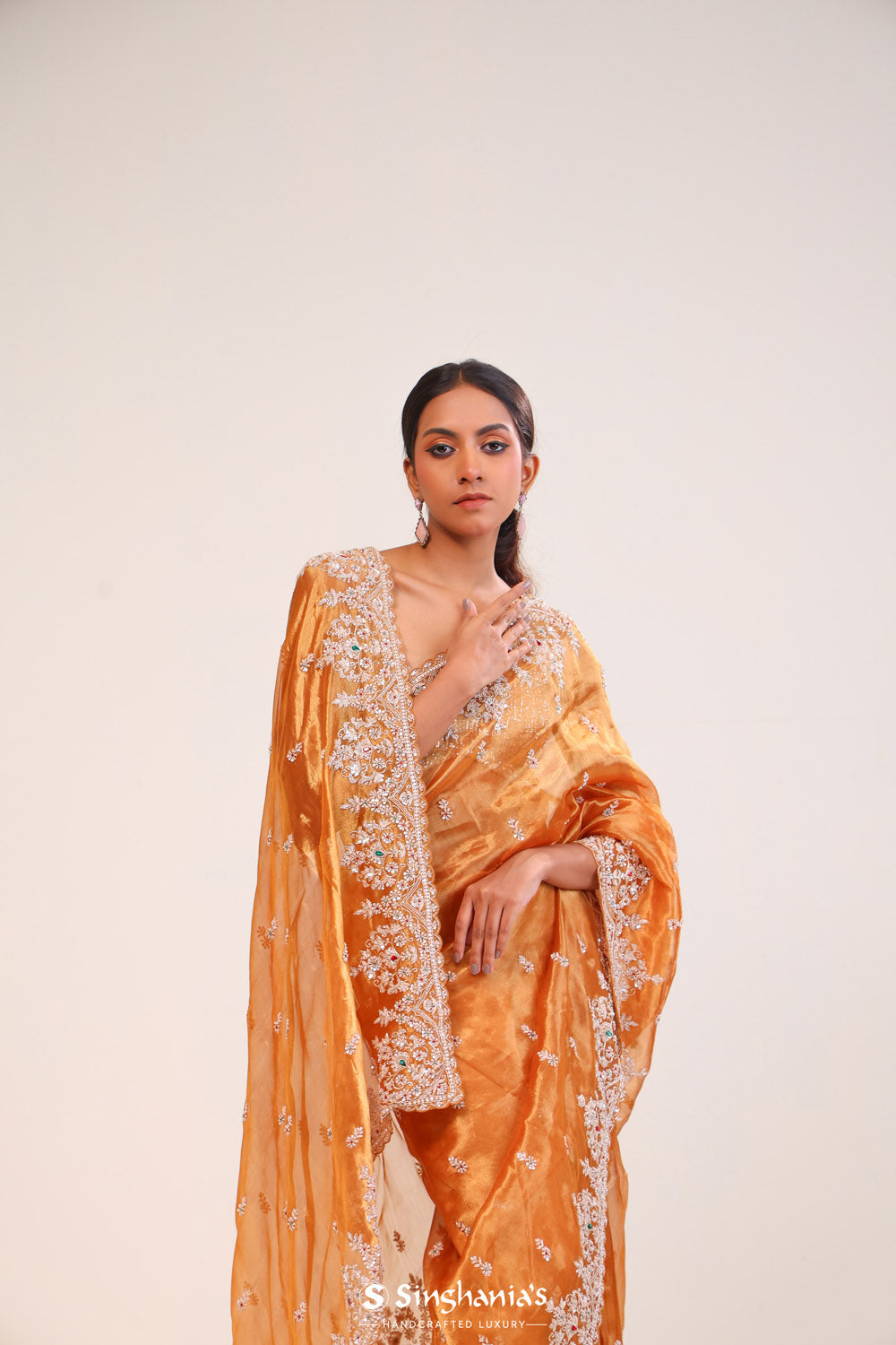 Brown Gold Tissue Handcrafted Saree