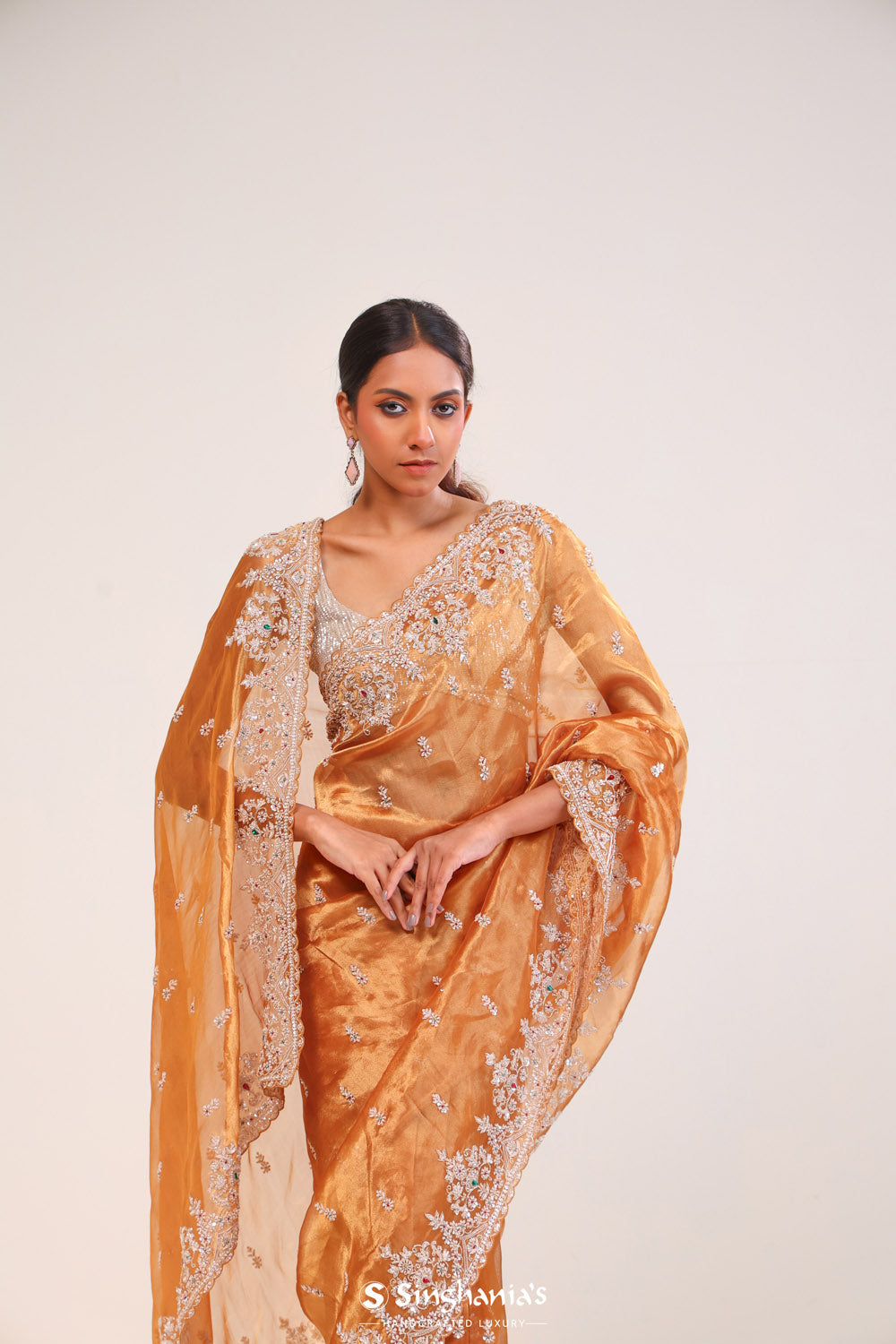 Brown Gold Tissue Handcrafted Saree