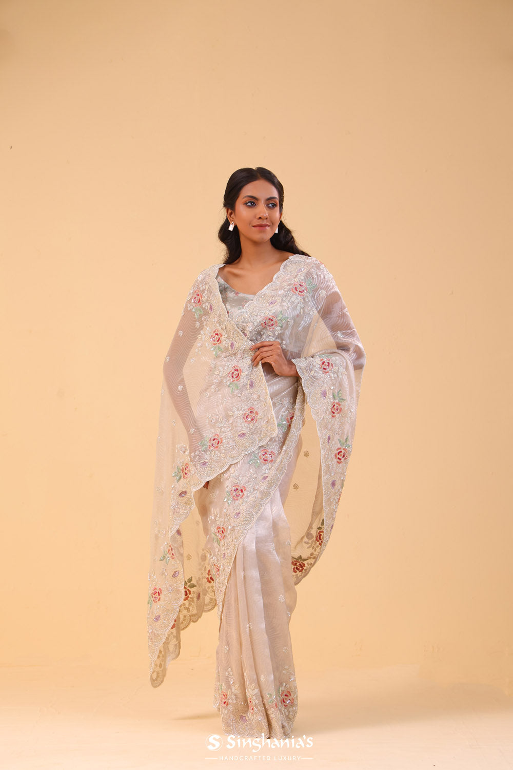 Light Beige Tissue Handcrafted Saree