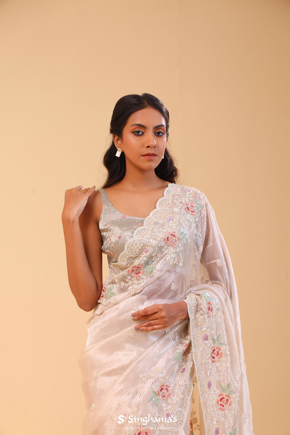 Light Beige Tissue Handcrafted Saree