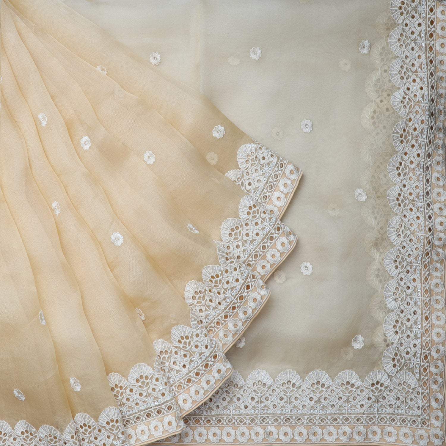 Pastel Beige Organza Saree With Floral Embroidery - Singhania's