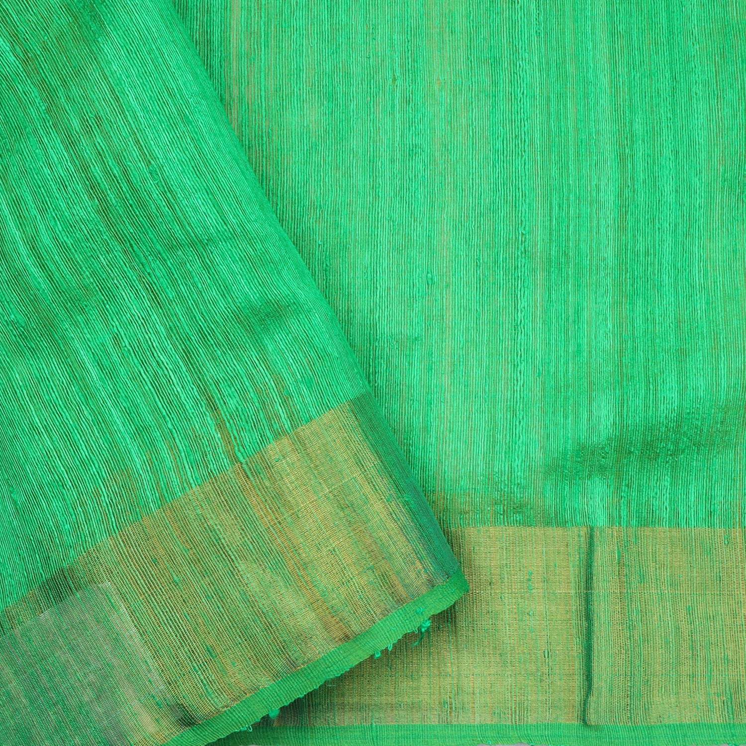 Vibrant Green Matka Silk Saree With Sequin Embroidery - Singhania's