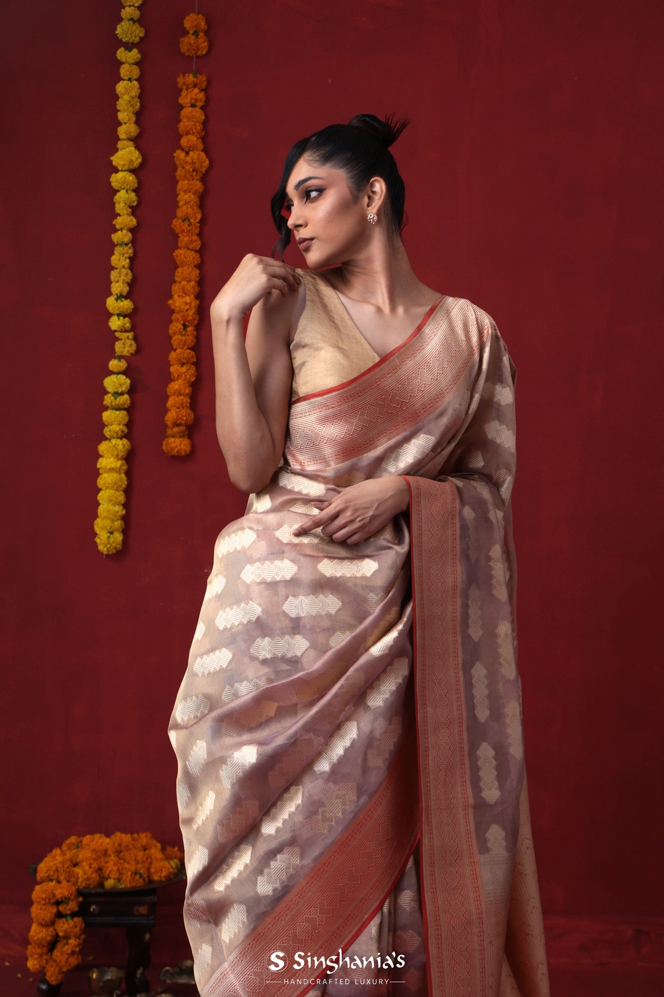 Pale Purple Tissue Organza Banarasi Saree